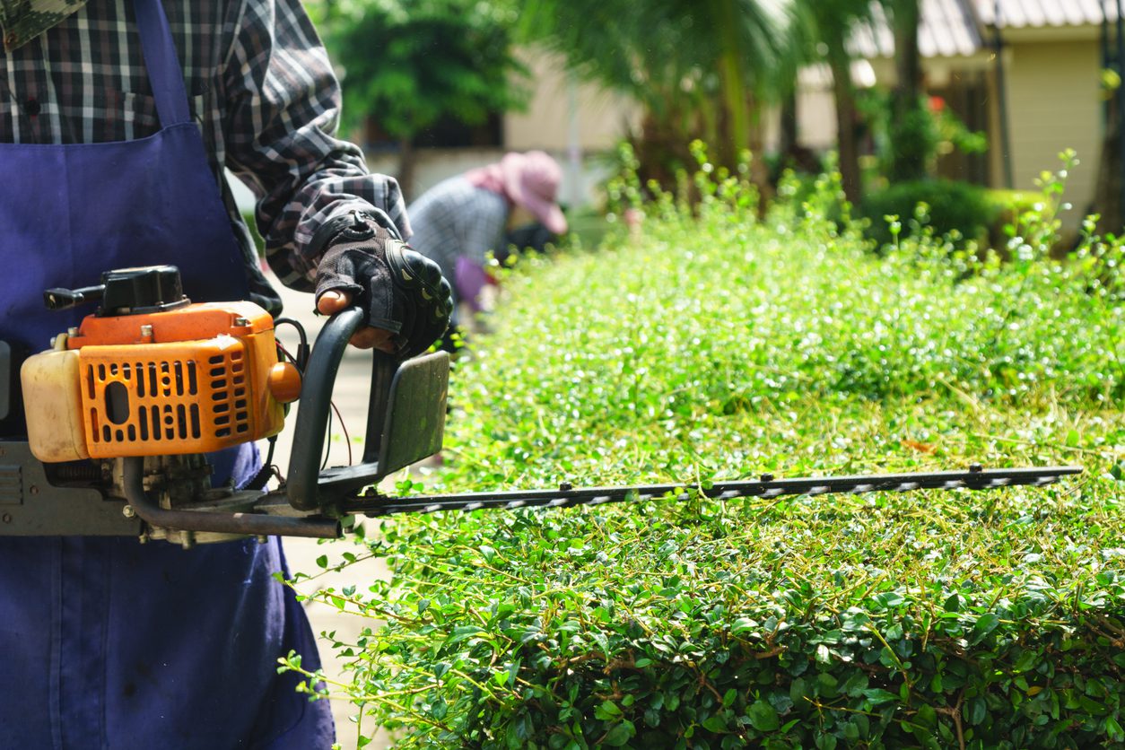 gardeners trimming bushes in commercial landscaping