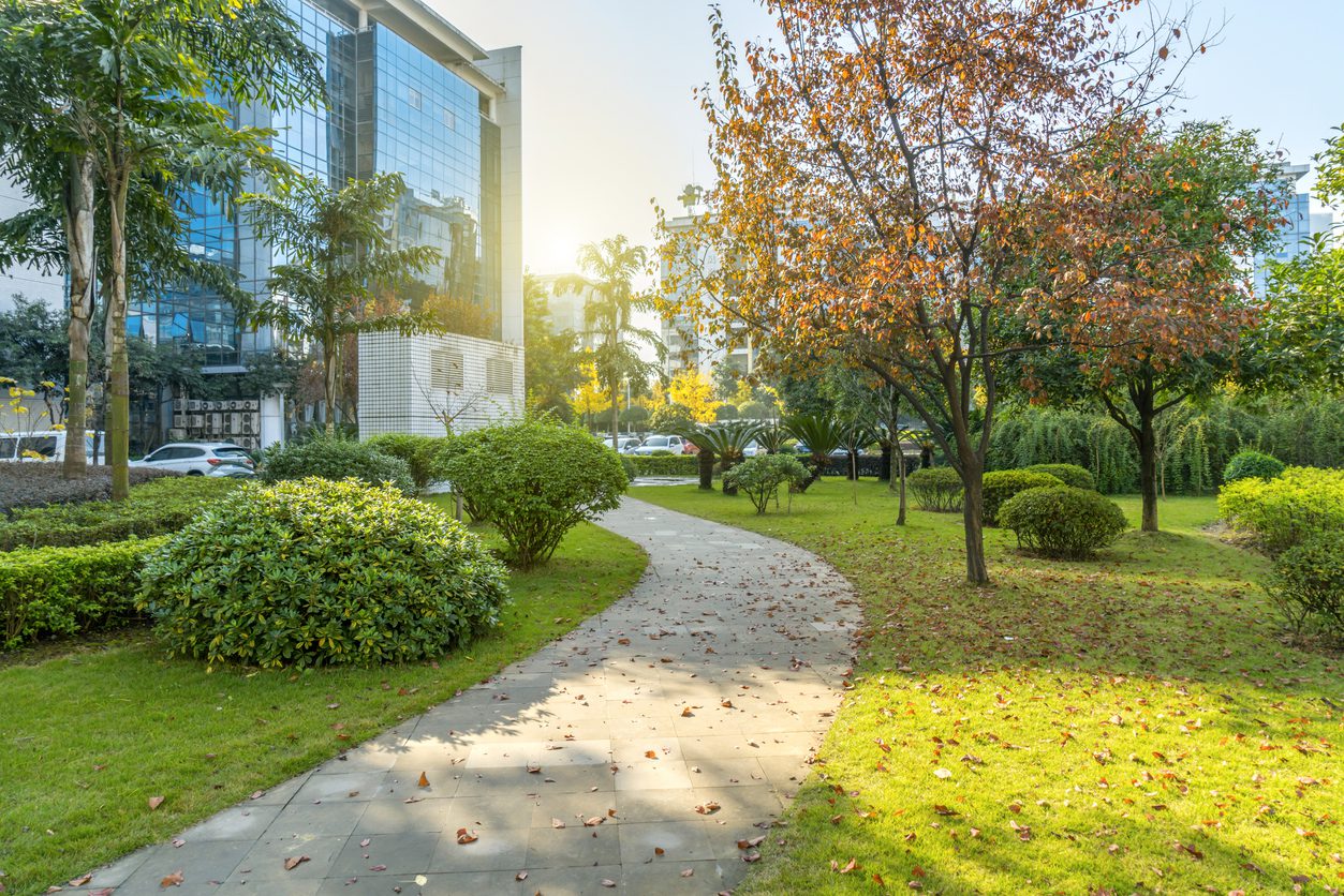 commercial landscaping and hardscaping, walking path through nature