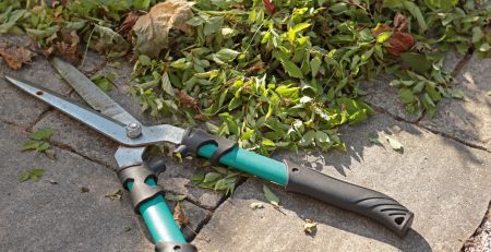 pruning tips for commercial properties
