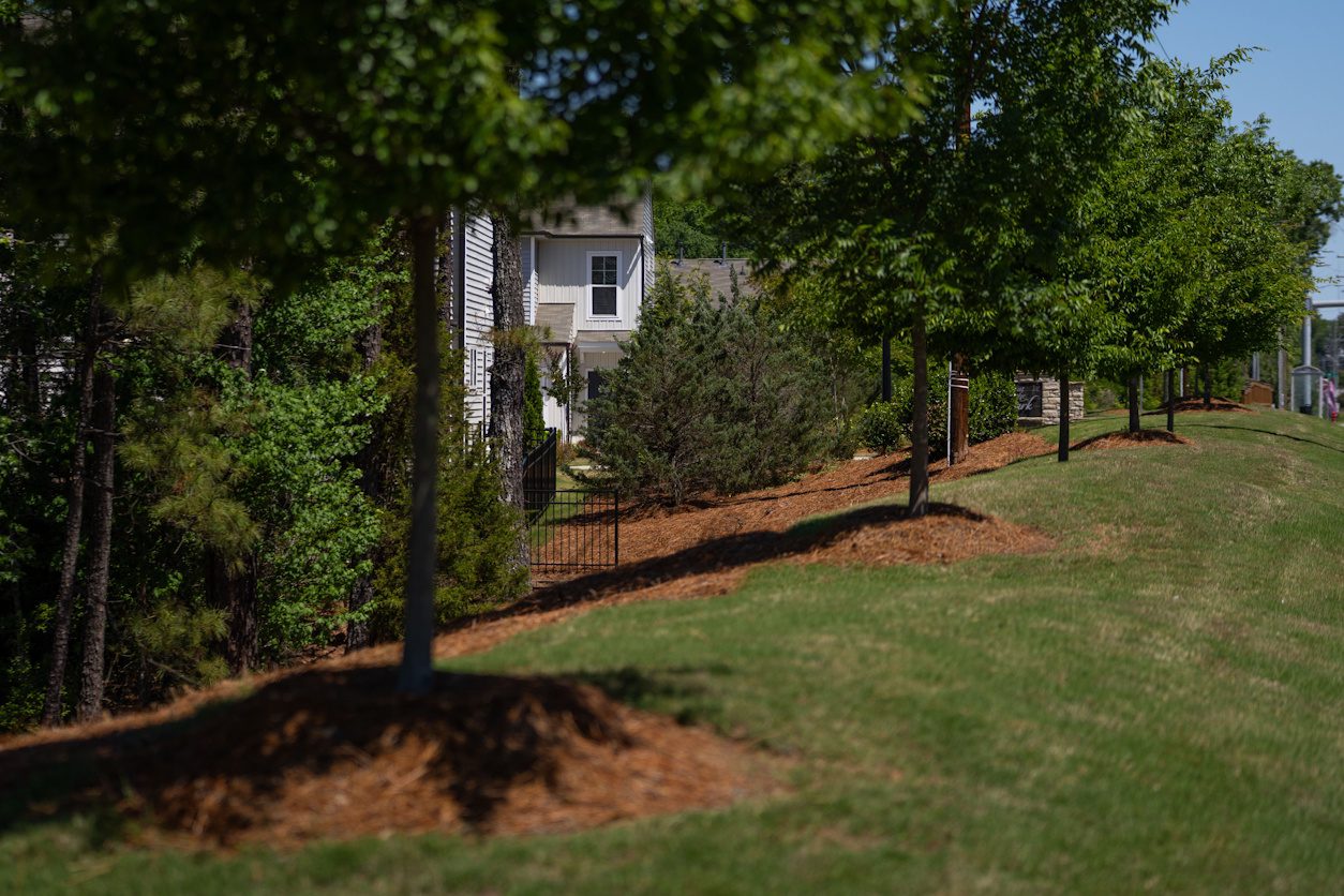 Balancing Compliance and Curb Appeal with Commercial Landscape Buffers